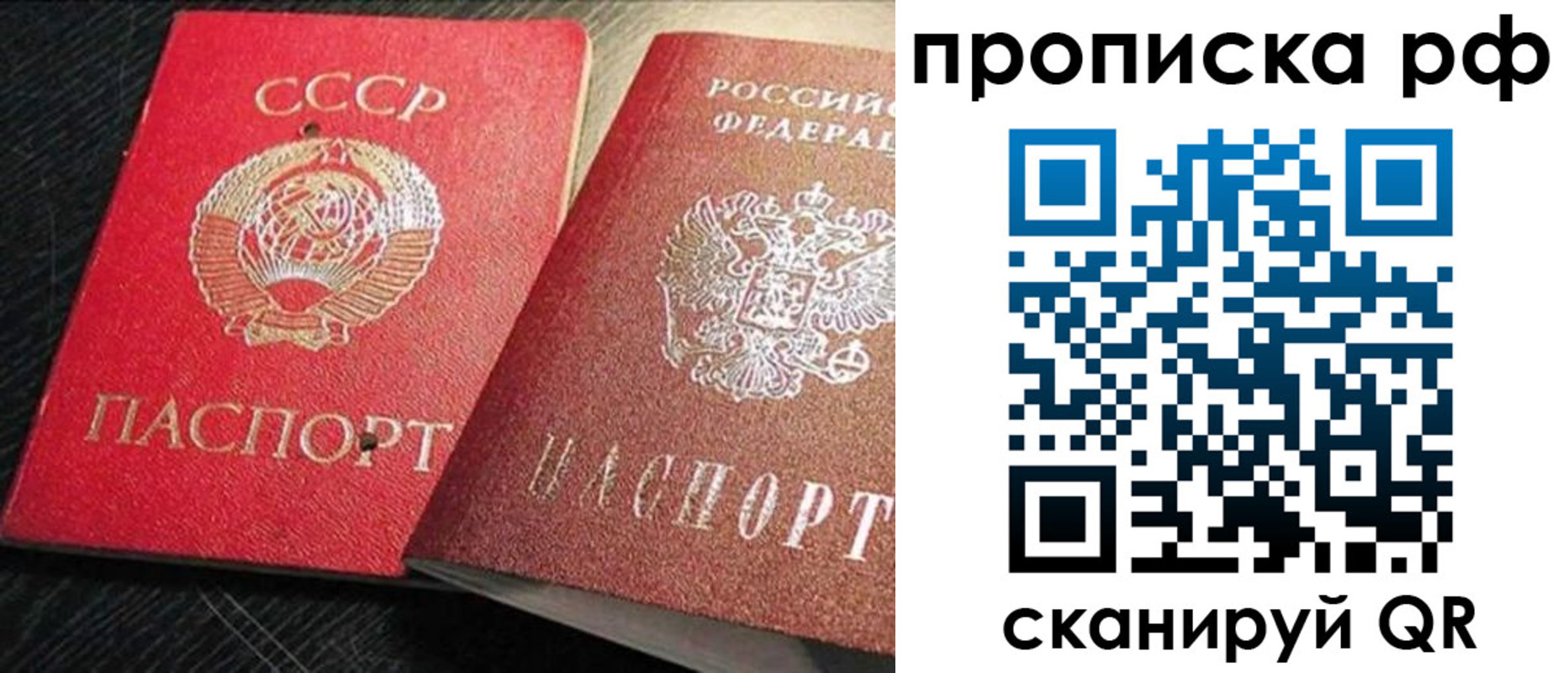 где прописаться в Долгопрудном